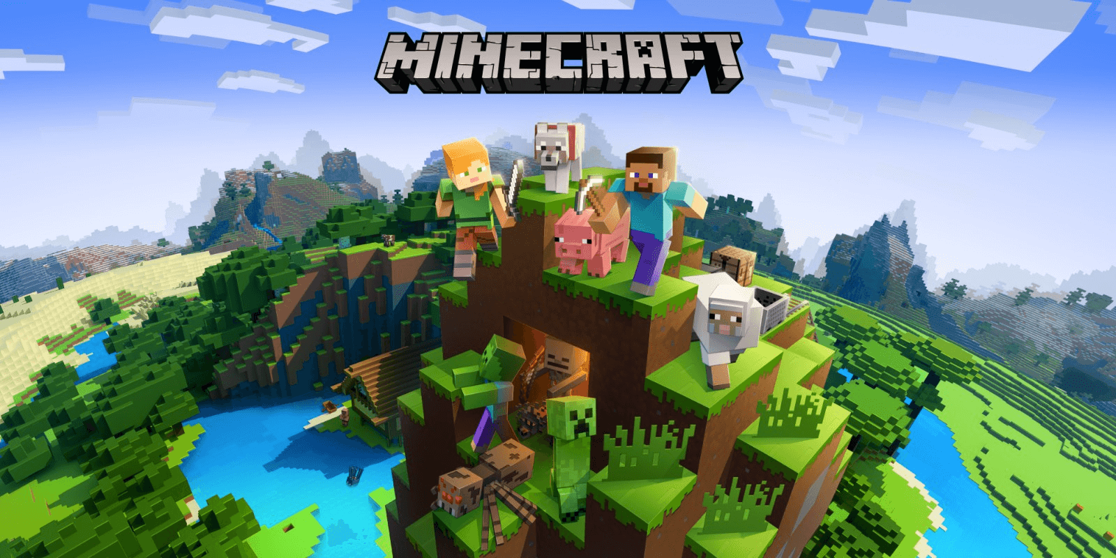 Minecraft Couverture